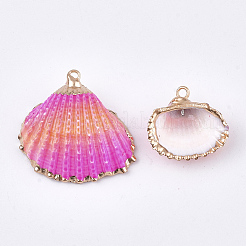 Spray Paint & Electroplate Sea Shell Pendants&nbsp;LS-SSHEL-S262-07D