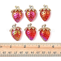 10Pcs Transparent Acrylic Pendants&nbsp;MACR-FS0002-08C