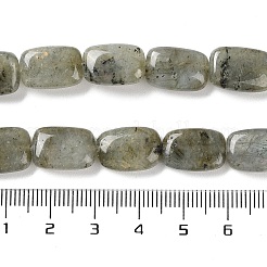 Natural Labradorite Beads Strands&nbsp;G-K357-D16-01