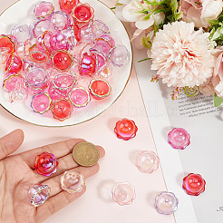 60Pcs 4 Colors UV Plating Acrylic Bead Caps&nbsp;PACR-PA0001-12A