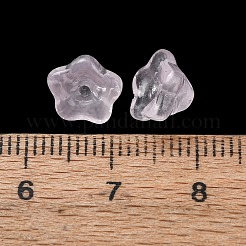 Baking Paint Transparent Glass Beads&nbsp;GLAA-T025-81C-09