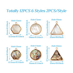 12Pcs 6 Styles Natural Shell Pendant Sets&nbsp;SHEL-CD0001-03