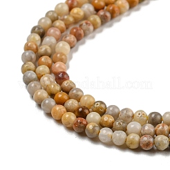 Natural Crazy Lace Agate Bead Strands&nbsp;X-G-A130-2mm-K10