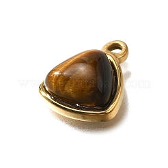 Natural Tiger Eye Triangle Charms&nbsp;STAS-D310-02G-01
