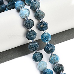 Natural Apatite Beads Strands&nbsp;G-G182-B42-06