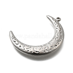 304 Stainless Steel Pendants&nbsp;STAS-Z163-09P