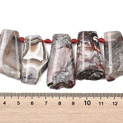 Natural Mexican Crazy Lace Agate Beads Strands&nbsp;G-B196-A01-01