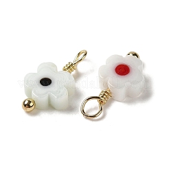 Glass Charms&nbsp;KK-P242-13G