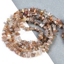Natural Sunstone Beads Strands&nbsp;G-G0003-B47