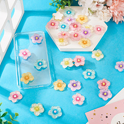 30Pcs 6 Colors Transparent Resin Cabochons&nbsp;RESI-TA0004-45
