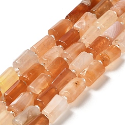 Natural Orange Botswana Agate Beads Strands&nbsp;G-N327-06-31