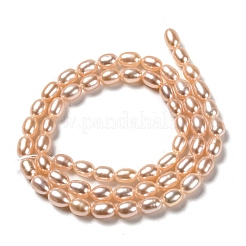Natural Cultured Freshwater Pearl Beads Strands&nbsp;PEAR-L033-63B