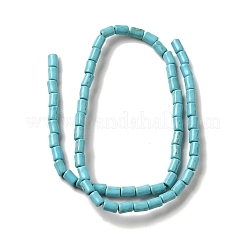 Synthetic Turquoise Dyed Beads Strands&nbsp;G-E594-10
