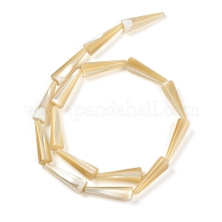 Natural Trochus Shell Beads Strands&nbsp;BSHE-G036-04