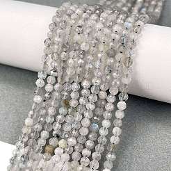 Natural Labradorite Beads Strands&nbsp;G-I341-11A