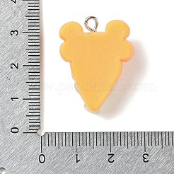 Resin Imitation Food Pendants&nbsp;LS-FIND-U001-02E