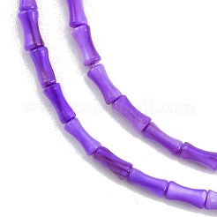 Natural Freshwater Shell Beads Strands&nbsp;SHEL-G013-01G