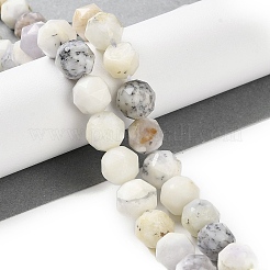Natural White African Opal Beads Strands&nbsp;G-NH0021-A26-02