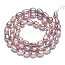 Natural Cultured Freshwater Pearl Beads Strands&nbsp;PEAR-N012-04Q