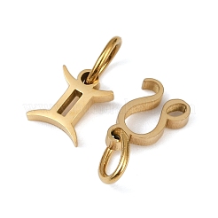 304 Stainless Steel Charms&nbsp;STAS-Z143-06G