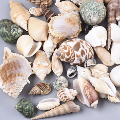 Natural Spiral Shell Pendants&nbsp;SSHEL-N035-02
