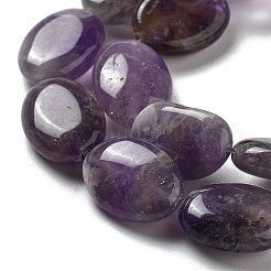 Natural Amethyst Beads Strands&nbsp;G-P528-M16-01