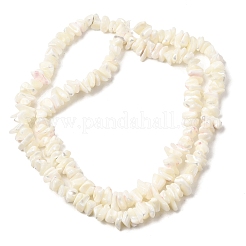 Natural White Mother of Pearl Shell Chip Bead Strands&nbsp;X-G-M205-63