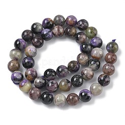 Natural Charoite Beads Strands&nbsp;G-C270-O03-08