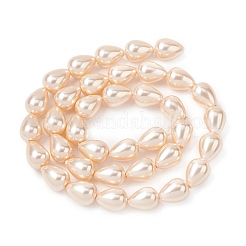 Electroplate Opaque Glass Imitation Pearl Beads Strands&nbsp;EGLA-H113-09B-02