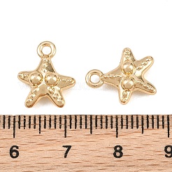 Alloy Charms&nbsp;AL-CBA83D5-04G
