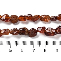 Natural Garnet Beads Strands&nbsp;G-P497-01C-38