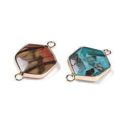 Dyed Synthetic Imperial Jasper Connector Charms&nbsp;G-P529-04G