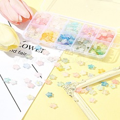 300Pcs 10 Colors Frosted Acrylic Charms&nbsp;OACR-FS0004-09