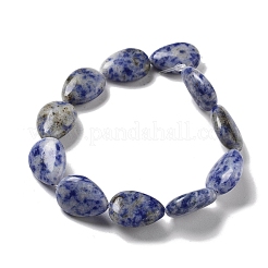 Natural Blue Spot Jasper Beads Strands&nbsp;G-P528-L17-01