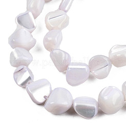 Natural Trochid Shell/Trochus Shell Beads Strands&nbsp;SSHEL-N032-49-A02