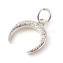 Brass Micro Pave Clear Cubic Zirconia Pendants&nbsp;ZIRC-P094-24P-RS