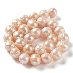 Natural Cultured Freshwater Pearl Beads Strands&nbsp;PEAR-E019-17