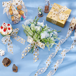 2 Rolls 2 Styles Printed Organza Ribbons&nbsp;SRIB-PH0001-29