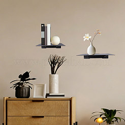 3 Sets 3 Styles Carbon Steel Wall Mounted Storage Stands for Mini Plant&nbsp;ODIS-GL0001-12B