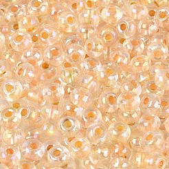 FGB Inside Colours Transparent Glass Seed Beads&nbsp;SEED-T009-01G