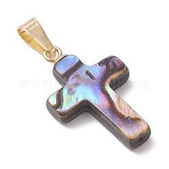 Natural Abalone Shell/Paua Shell Pendants&nbsp;PALLOY-JF04927