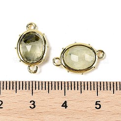 Natural Mixed Gemstone Faceted Oval Connector Charms&nbsp;G-I382-04G