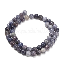 Natural Iolite Beads Strands&nbsp;X-G-G300-A04-8mm
