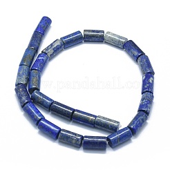 Natural Lapis Lazuli Beads Strands&nbsp;G-F631-F06