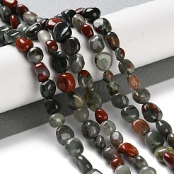 Natural African Bloodstone Beads Strands&nbsp;G-P497-01C-22