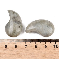 Natural Labradorite Pendants&nbsp;G-B195-03L