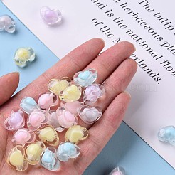 Transparent Acrylic Beads&nbsp;X-TACR-S152-08A