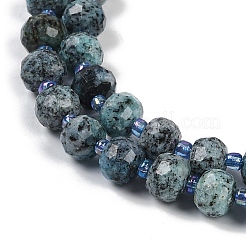 Natural Sesame Jasper Dyed Beads Strands&nbsp;G-H057-A21-01