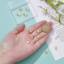 12Pcs Brass Charms&nbsp;KK-ME0002-13