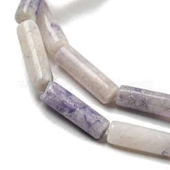 Natural Purple Turquoise Beads Strands&nbsp;G-D464-48